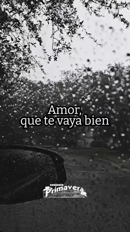 Decir adiós también cuenta como amor. A veces hay que dejar ir, y otras hay que aprender a irse ❤️‍🩹 #AdiosAmor #ConjuntoPrimavera 🎼