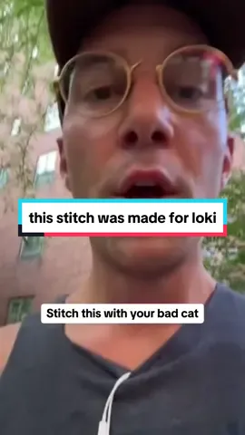 #stitch with @Michael Foote, Esq. and this is why he is known as the most chaotic cat on the internet