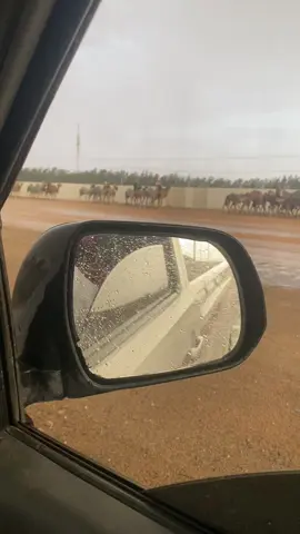 #امطار_الخير #ميدان الهجن#الطائف 