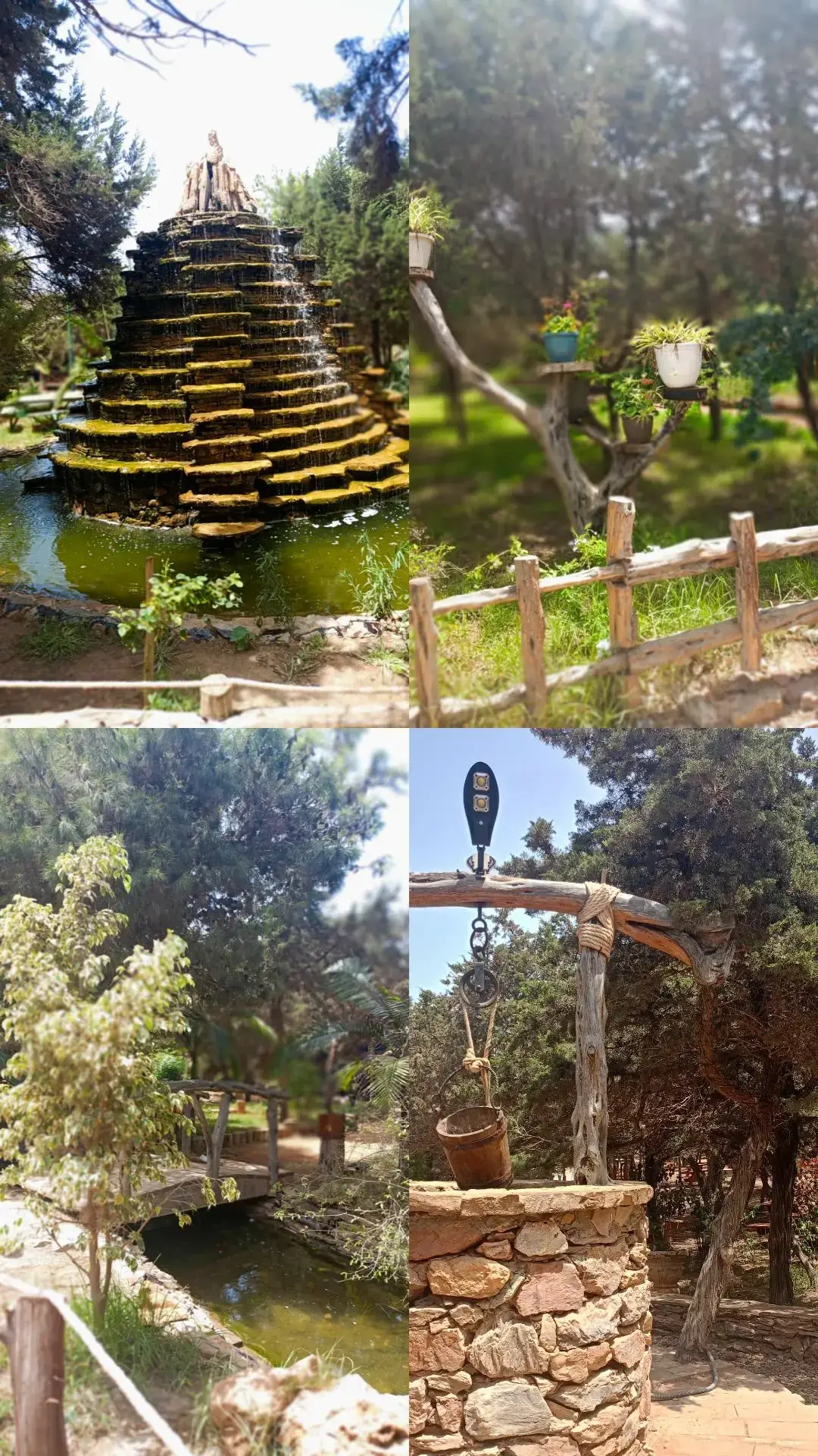 غابة بورحمة __مستغانم___🌿💚💐🌹🌸🌳 #غابة_بورحمة_مستغانم #مستغانم #mostganem #غابة #explore #شعب_الصيني_ماله_حل😂😂 #for #fy #fypage #fyyyyyyyyyyyyyyyy #fyppppppppppppppppppppppp 