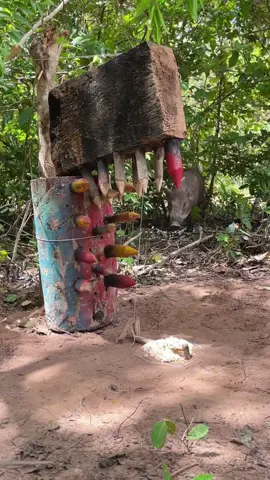 Amazing Most Building Beautiful House Wild Pig Trap Using Sharp Wood fall into ground#wildanimal #wildboar #pigtrap #wildboartrap #pig #wildpig #wildboartrapping #wildlife #foryou #fyppppppppppppppppppppppp 
