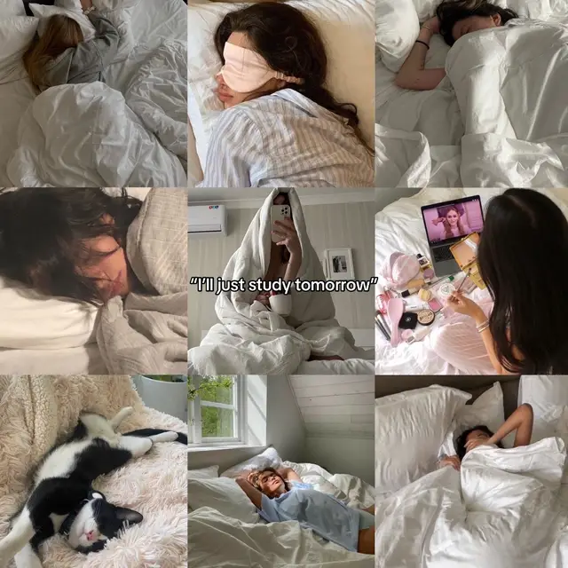 Toxic studymotivation #studytok #studymotivation #studying #school #student