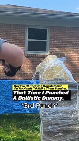 Day 196 Of Spraying Dog Medicine On My Hands To Make Them Tougher. That Time I Punched A Ballistic Dummy. #ballisticdummy #dogmedicine #ironfist #martialarts #boxing #toughhandspray  #dogspray #softhands #asmr #oddlysatisfying #skincareroutine #guypunchingrocks #fistofthedogmedicine #fyp 