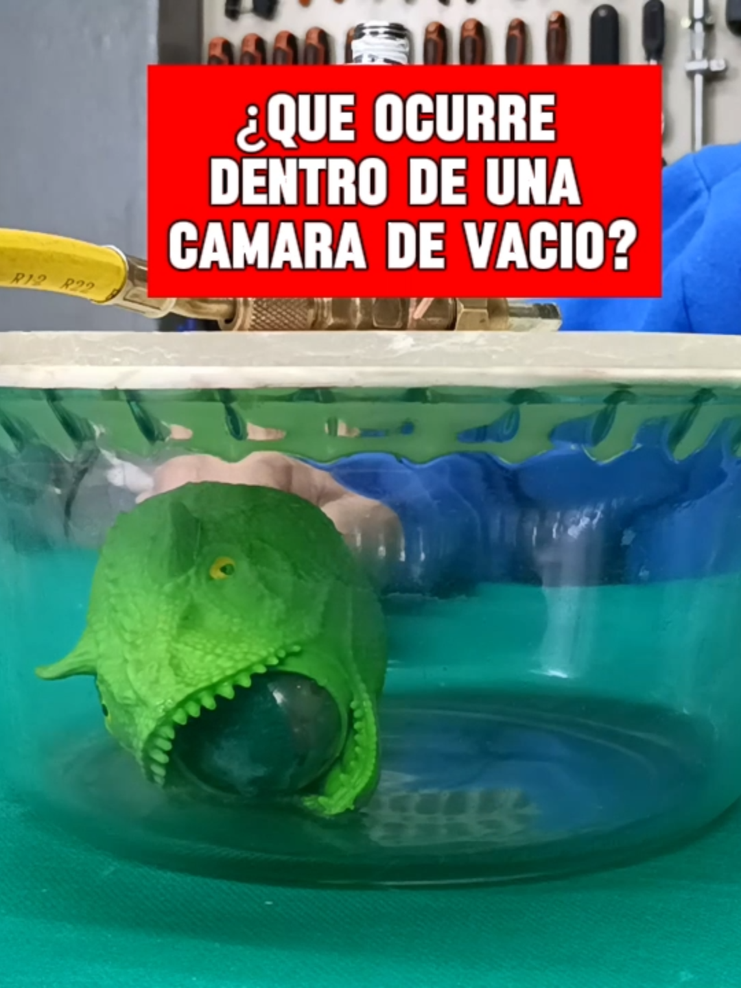 POBRE DINOSAURIO! Experimento en Cámara de Vacío Casera #elangelito #experimentodeciencias #camaradevacio #ciencia