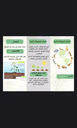 حاجات المخلوقات الحية صف ثاني    #اكسبلور #اكسبلورexplore #صف #صف ثاني #خدمات #الشعب_الصيني_ماله_حل😂😂 #مطويه_مدرسية #خدمات 