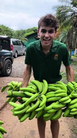 Collecting donated BANANAS for the sanctuary animals! 🍌 they LOVEEEED them ❤️🌍 #wildlife #rehab #rescue 
