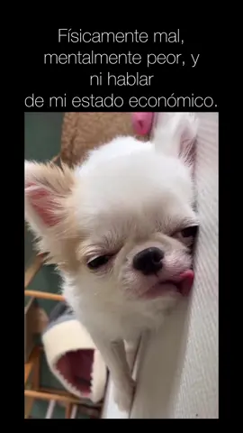 😵‍💫 #soygodin  #godinez #vidagodin #trabajo #soygodinez #esdegodinez #godinezlife #soygodinezyque