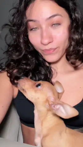 ter filhote é assim :