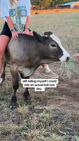 hahaha i love texas #foryo #bullriding #bullrider #cow #babycows #texascheck #funny #girl #foryoupage #fypppp #barrelracer #texasgirl #foryoupageee 