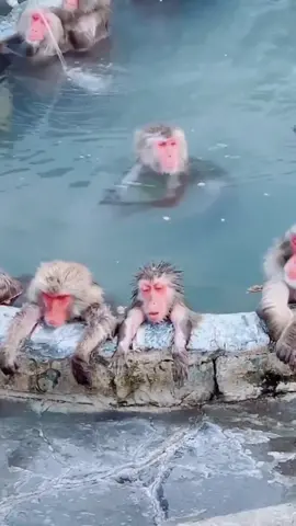 Places that dont feel real in Japan 😨🇯🇵 #japantrip #japantravel #explore 