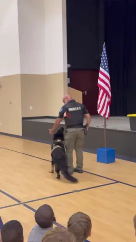 Came out of retirement for the kiddos…