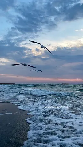Good morning 🌍 #ludmilayakovichishina #fypシ゚viral #beachvibes #рек #odessa #sunrise #рекомендации 