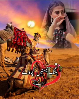 فقیرانی اِے جھگڑی یئے 🌼🌿💓🥀#balochisong #singersabzalibugti #videoviral #foryoupage #foryoupage 