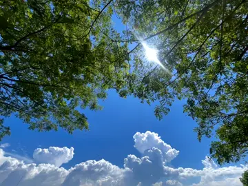 তোমার মনের আকাশে মেঘ পাঠাবে ❤️‍🩹🙂!! #foryourpage #fyp #bdtiktokofficial🇧🇩 #tiktokbangladesh #unfrezzmyaccount #ayansutra928 @TikTok @TikTok Bangladesh 