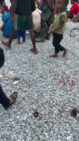 Adat Papua Bayar Mas Kawin…  Wa Wa Wa 🤩 #papua  #indonesia🇮🇩 