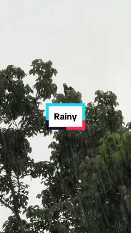 Rainy afternoon in the province 😊