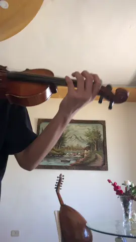 #violin #classicalmusic #fyp #foryou #music #كمان #عود #امكلثوم #الف_ليلة_وليلة #violinplayer #عبدالحليم #كوكب_الشرق_ام_كلثوم 