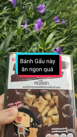 Bánh gấu này ăn đỉnh quá #ancungtiktok #foodfestontiktok #reviewdoan #review #doan #comcom 
