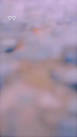 👀💔 #sadpost 💔🩹🥀#fypシ゚viral #trending #unfrezzmyaccount #foryoupageofficiall #flyyyyyyyyyyyyy 