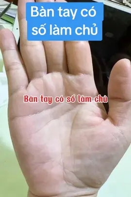 bàn tay có số làm chủ #tinhduyen #tuvi #phongthuy#xuhuong #chitay #sunghiep #phongthuychitayntphamthu 