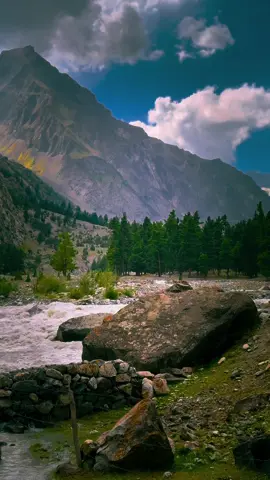 08 DAYS SKARDU & HUNZA TRIP 😍 06 DAYS ASTORE MINIMARG TRIP 😍 06 DAYS SKARDU VALLEY TRIP 😍  05 DAYS HUNZA VALLEY TRIP 😍 05 DAYS  FAIRY MEADOWS TRIP 😍 03 DAYS KASHMIR & ARANGKEL TRIP 😍 03 DAYS NARAN VALLEY TRIP 😍 #OFFTONORTH Make your trips memorable by travelling with us on discounted rates. We are a  government registered company and have the best hotels for accommodation and perfect itinerary to make your trips even more special! Book Now at : 03164003086 - 03223030443