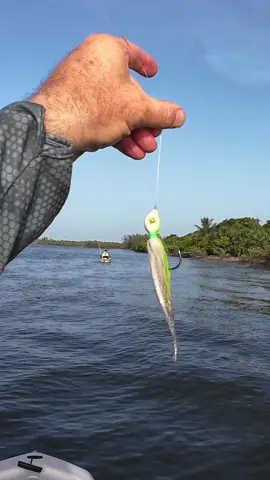 How to Hook a Drag Screaming Inshore Monster! #FYP #fishing #MONSTER #fishingtiktoks 