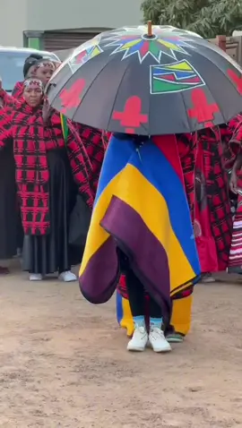 Zifike zaphelela iinkomo zika Mzangobe @siphojan  Idwendwe nobukhazi  #siphowedsshemy  #wedding #fyp #viral #ndebeletiktok #ndebelewedding #Love #makoti #traditional #couple #idwendwenobukhazi 