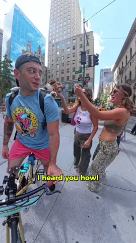 Amazing reaction to the cutest biking dog #🐶 #australianshepherd #dogsoftiktok #miniaussie #nyc 