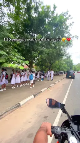 චිකි චිකි බුං බුං 😓💗🌝 #teddy #teddy_boy #kurunegala_squad🔰 #fpyyyyyyyyyyyyyyyyyyyyyy #viralllllll #pageforyou_🔥 