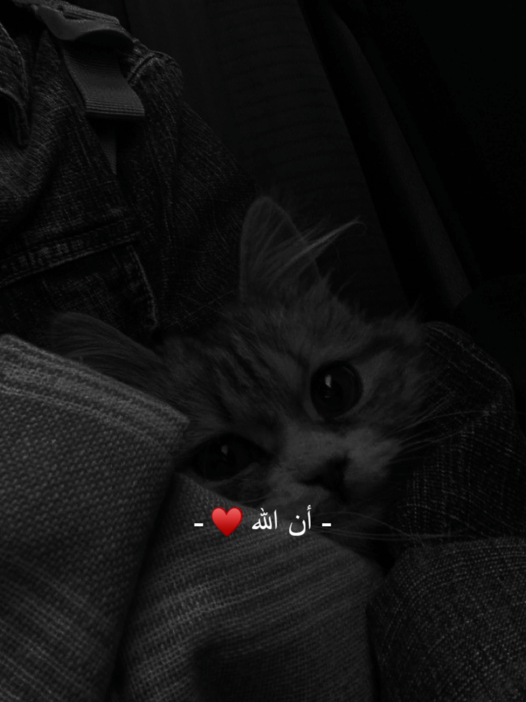 انا الله اذا اراد بعبد خيرا جعله قلبه منكسرا💔🥺#ستويات_انستا_دينية🖤✨ #ستوريات_انستا_قصيره 