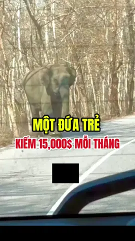 Những đứa trẻ nước ngoài đã tận dụng mxh để kiếm xiền từ sớm #quangcaofacebook #marketingtips #LearnOnTikTok #EduTok #kinhdoanhonline 