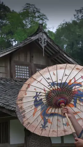 The Chinese oil-paper umbrella is a traditional handcrafted umbrella made from bamboo, wood, and oiled paper. Originating over a thousand years ago, it is known for its durability, waterproof qualities, and cultural significance. These umbrellas are often beautifully painted with flowers, landscapes, or calligraphy, making them both functional and decorative. They have been used historically for protection from rain and sun, as well as in ceremonies and cultural performances. The oil-paper umbrella remains a symbol of Chinese heritage and craftsmanship.  #🇨🇳 #China #Traditional #Culture #ChineseCulture #Handmade  