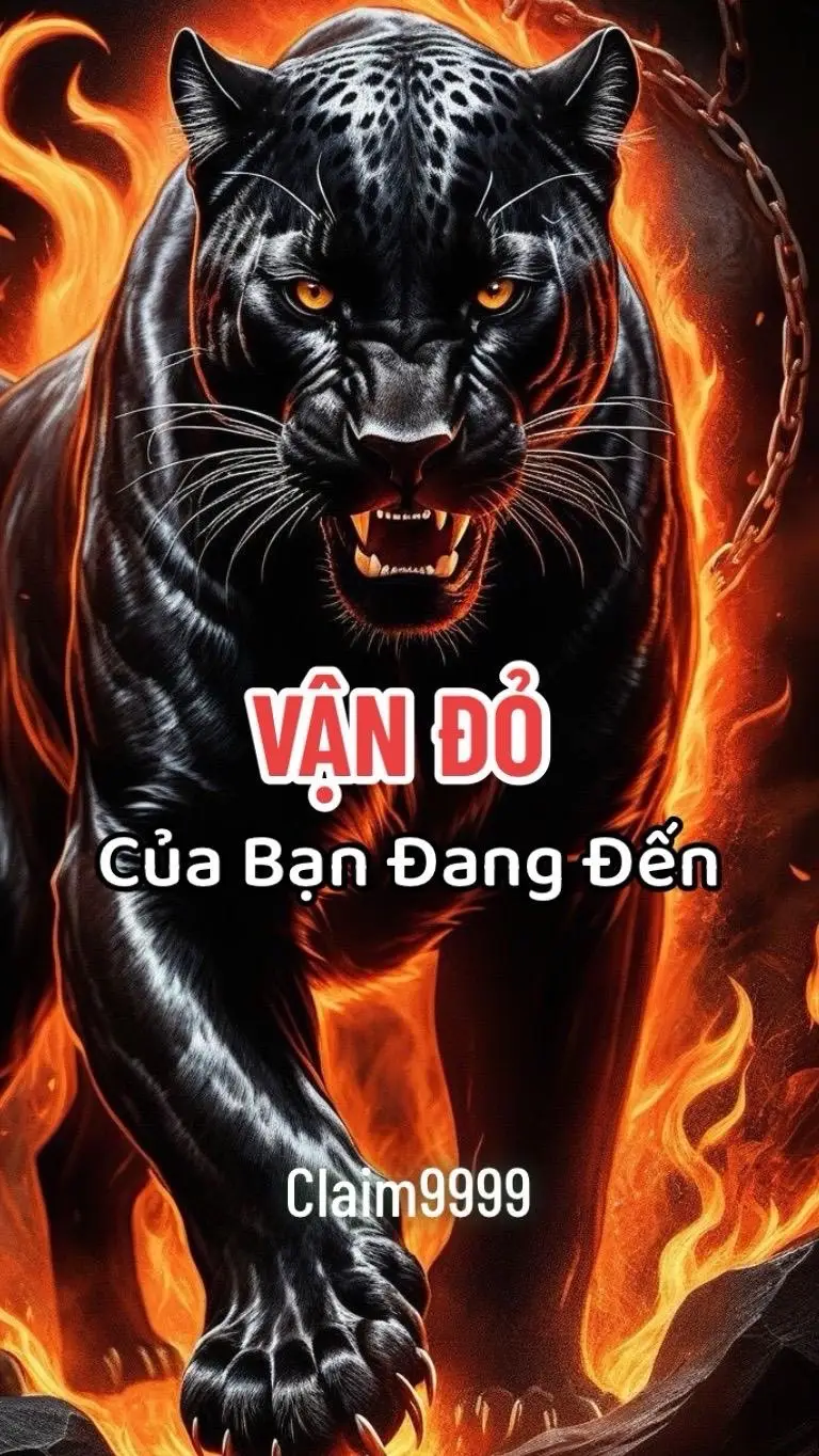 #thongdiepvutru #thongdiepcuocsong #thongdieptinhyeu 