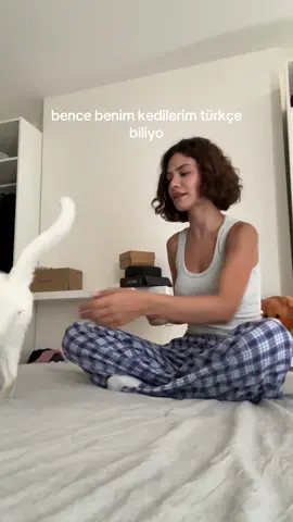 ya da hayvanlarla o kadar çok konuştum ki öğrendiler… jskdkdkd