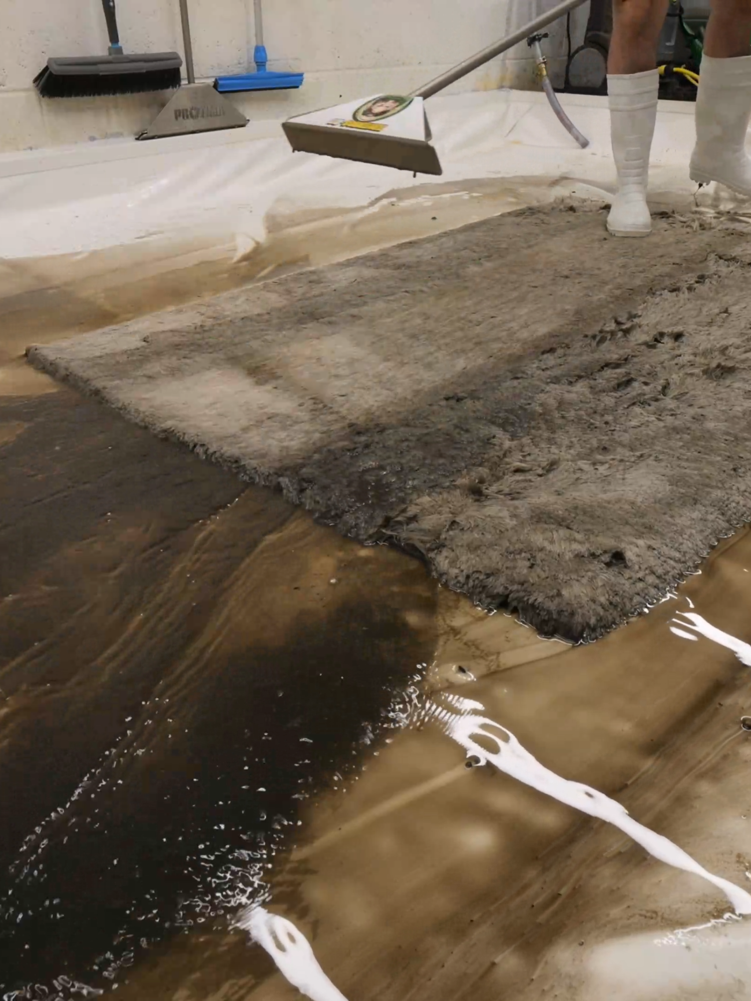 From the Dark Side: Epic Rug Transformation to Snow White #asmr #satisfying #rugwashing #carpetcleaning #restoration #relaxing #sleepaid #stressrelief
