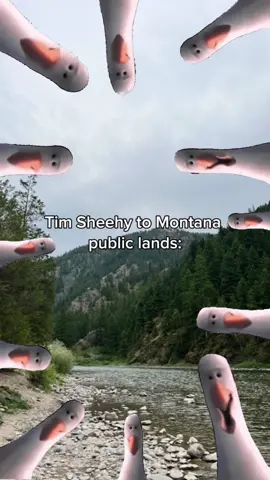 smh Tim 🙂‍↔️  #timsheehy #shadysheehy#jontester #senatortester #senatorjontester #tester #montana #mtsen #mtpol #farmer #testertime #Senate #2024