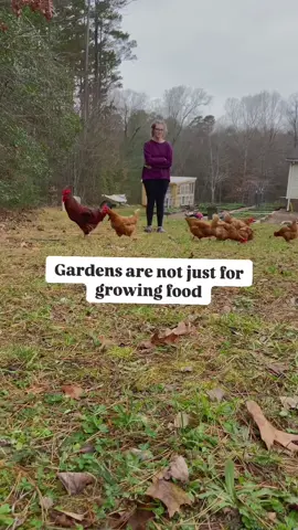 Plant love… grow a garden 🪴 #farmlifeisthebestlife #homesteading #homesteadtiktok #gardening101 #growfoodnotlawns #organicgardening #gardeningtips #gardeningforbeginners 