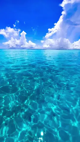Crystal clear blue water in Maldives indian ocean 💙🩵💦 #indianocean #crystalclearbluewater #paradise #bluesky #beautifuldestinations #ocean #crystal #sandbanksbeach #maldives #amazingplace 