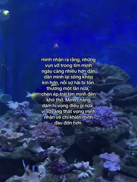 #cnns #tiktok #storytamtrang #xh 