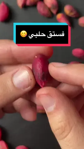 بلّش موسم الفستق الحلبي 😋  #فستق #حلبي  #عبدالوهاب_الهولي #LearnOnTikTok #tiktokmena #howto 