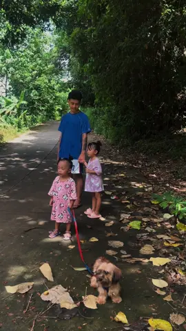 morning walk with babies and flappy 🐶