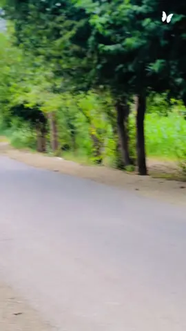 Olas janan ka no da tool olas janan bashe #virlvideo #tiktok #foryoupage #support #fyp #support #followers #fypシ #fyp 