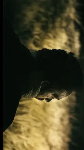 #statusvideo #fotyoupage🔥 #typ #eye #balochimusic #❤️ #foryou #poetry #balochistan_beauty #NKB 