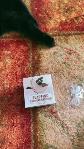 Rocky & Ninja’s favorite new toy 🐦 Best cat toy ever!!!  #potaroma #potaromacattoys 