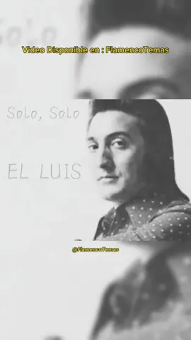 Solo, Solo - El Luis #elluis #gitano #fenómeno #guitarra #los70s #años70s #flamenco #FlamencoTemas #parati #viral #fyp #música #musicadelabuena #estosiesmusica #lomejordelomejor #recuerdo #recuerdos #recuerdosmusicales #artista #recordandoaelluis #elluissolosolo 