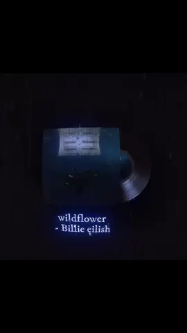 I see her.. #billieeilish #wildflower #song #songlyrics #viral #viralvideo #fyp 
