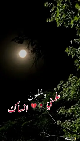 البيني وبينك ✨🤍#اكسبلور #fyp #viral #foryoupage #foryou #ستوريات #تركيا_اسطنبول_العراق_سوريا_مصر 