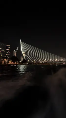 Rotterdam at night ✨ #rotterdam #bateau#rotterdamatnight #pontrotterdam #fyp