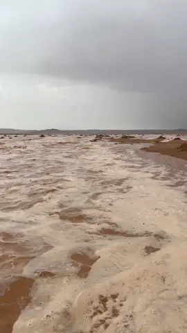 #الجفرة_زلة_هون_ودان_سوكنة_الفقهاء 