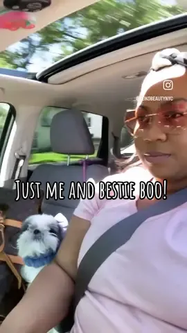 Being a dog mom is one of my grratest pleasures! Shih tzus forever…I think lol #atlantablogger #shihtzu #shihtzuvideos #funnyshihtzu #shihtzusoftiktok #mybestie #bestfriend #chloegrace #spoiledshihtzu #dogadventures #selfcarecation #keikotaughtme 